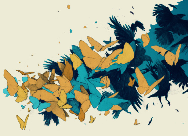 Butterflies / Pacific Standard